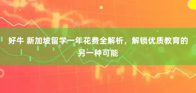 好牛 新加坡留学一年花费全解析，解锁优质教育的另一种可能